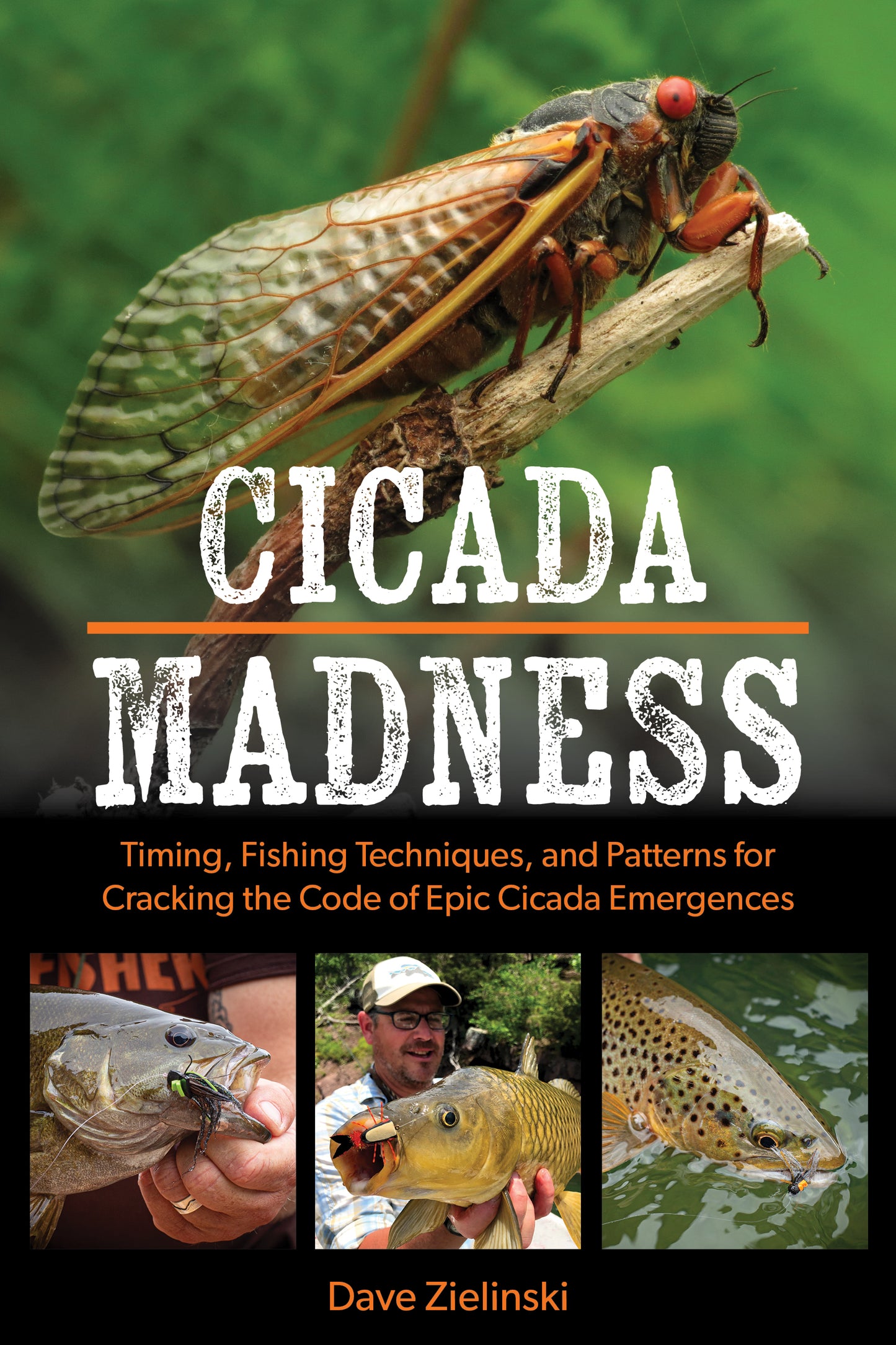 Cicada Madness: Timing Fishing Techniques, and Patterns for Cracking the Code of Epic Cicada Emergences by Dave Zielinski