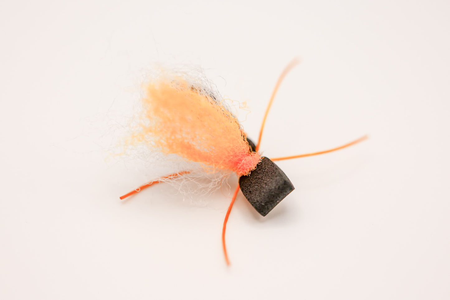 Regal Beagle 17 Year Cicada Fly