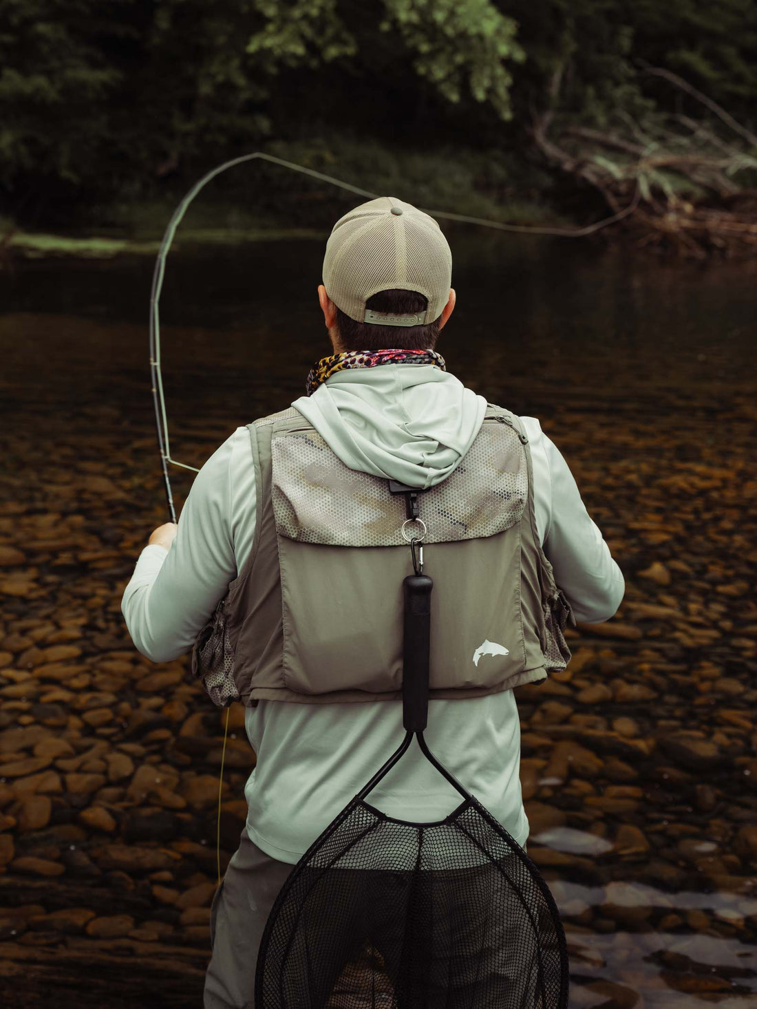 Euro Rod for Dry Fly Fishing: Why It's My Go-To Rod