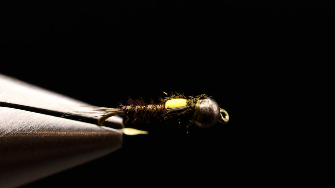 Split Back Pheasant Tail