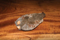 #1 Hungarian Partridge Skin - Natural