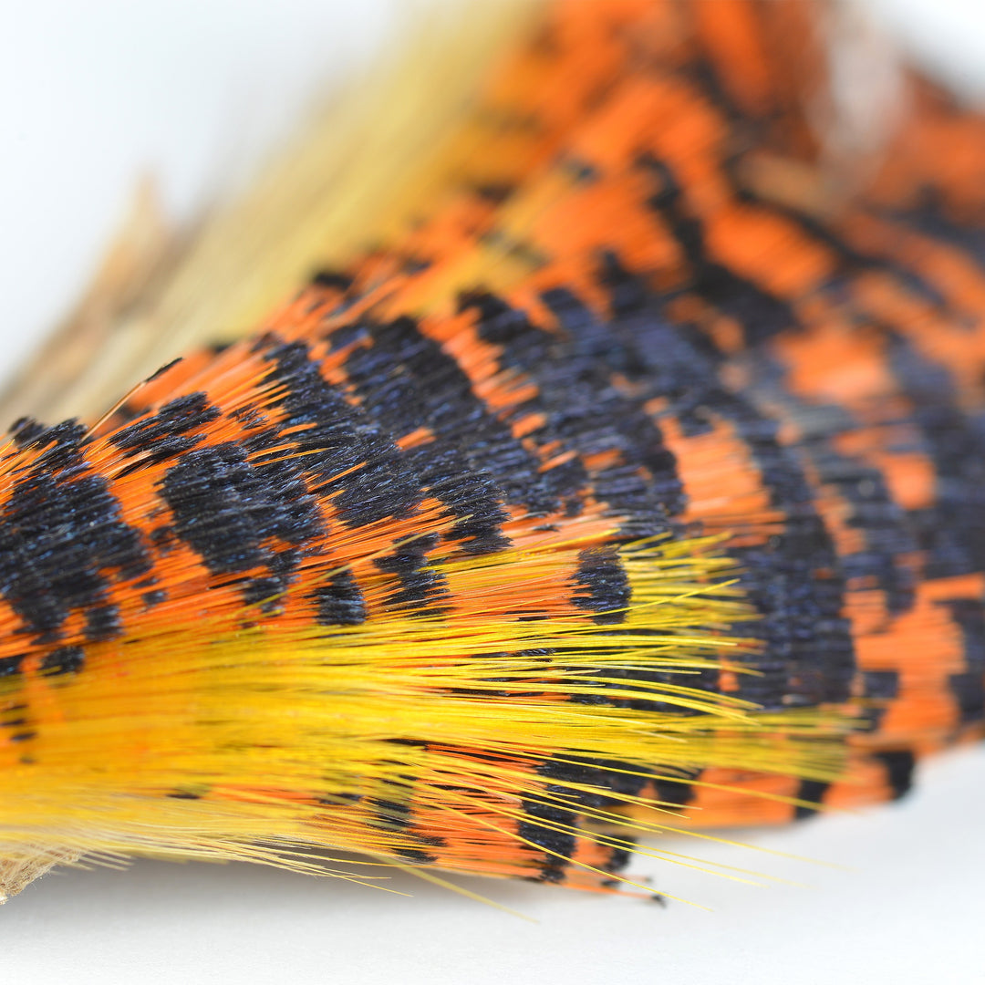 Perfect Hatch Golden Pheasant Tippet Neck