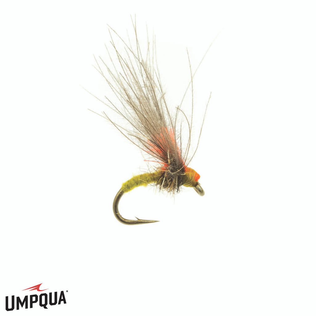 Antonio's Emerger