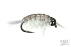 BH Scud