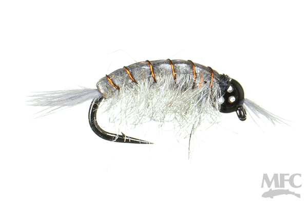 BH Scud