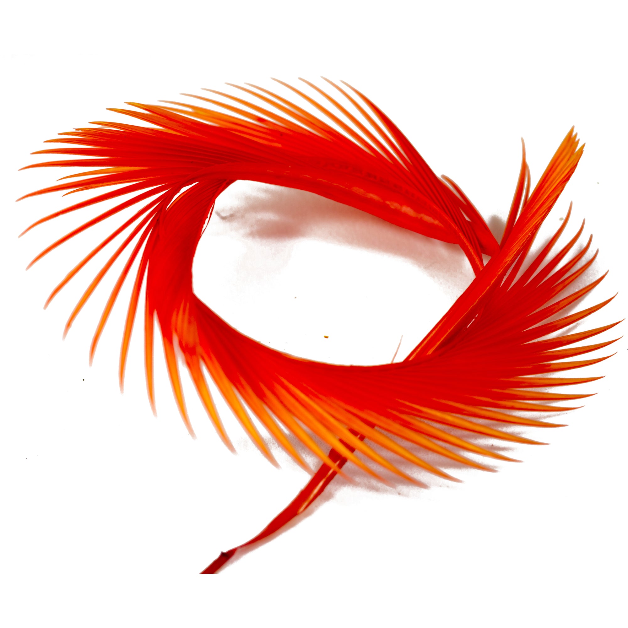 Inferno Goose Biots
