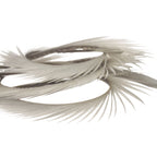Natural Range Goose Biots