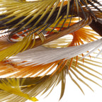 Natural Range Goose Biots