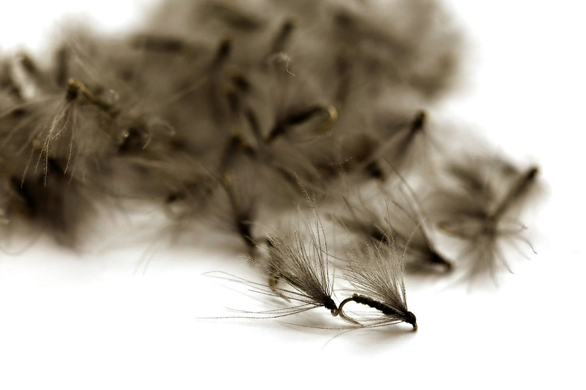 Puff Plus - BWO