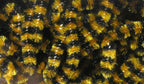 Fly Fish Food Small Stonefly Chenille