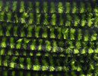 Variegated Chenille Medium
