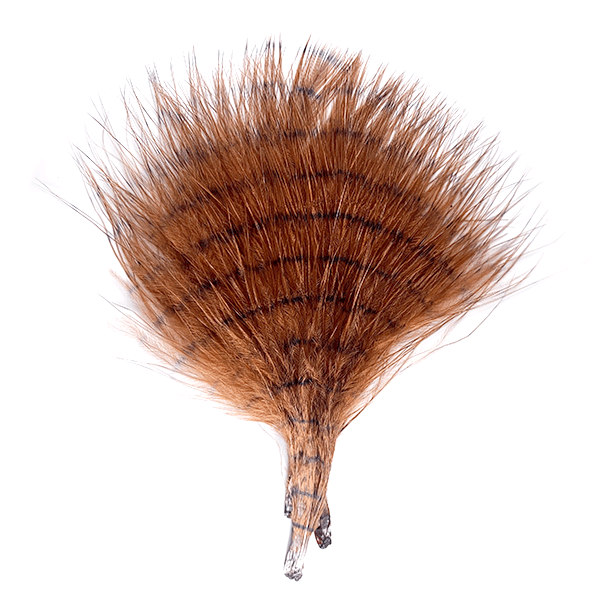 Fine Barred Marabou