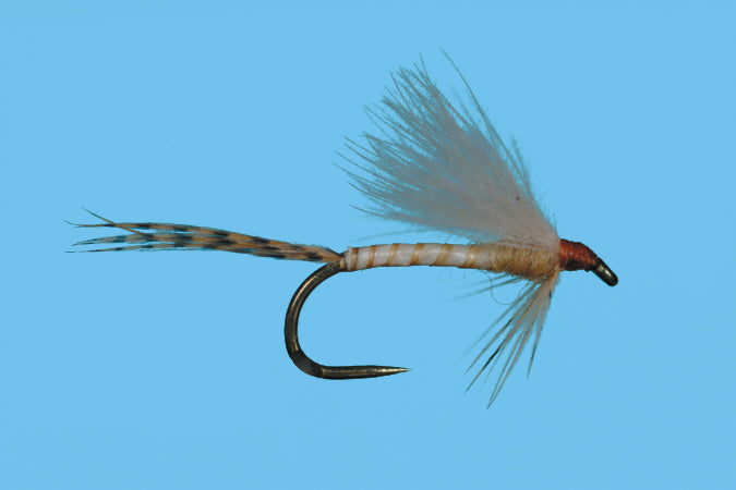 CDC Biot Emerger