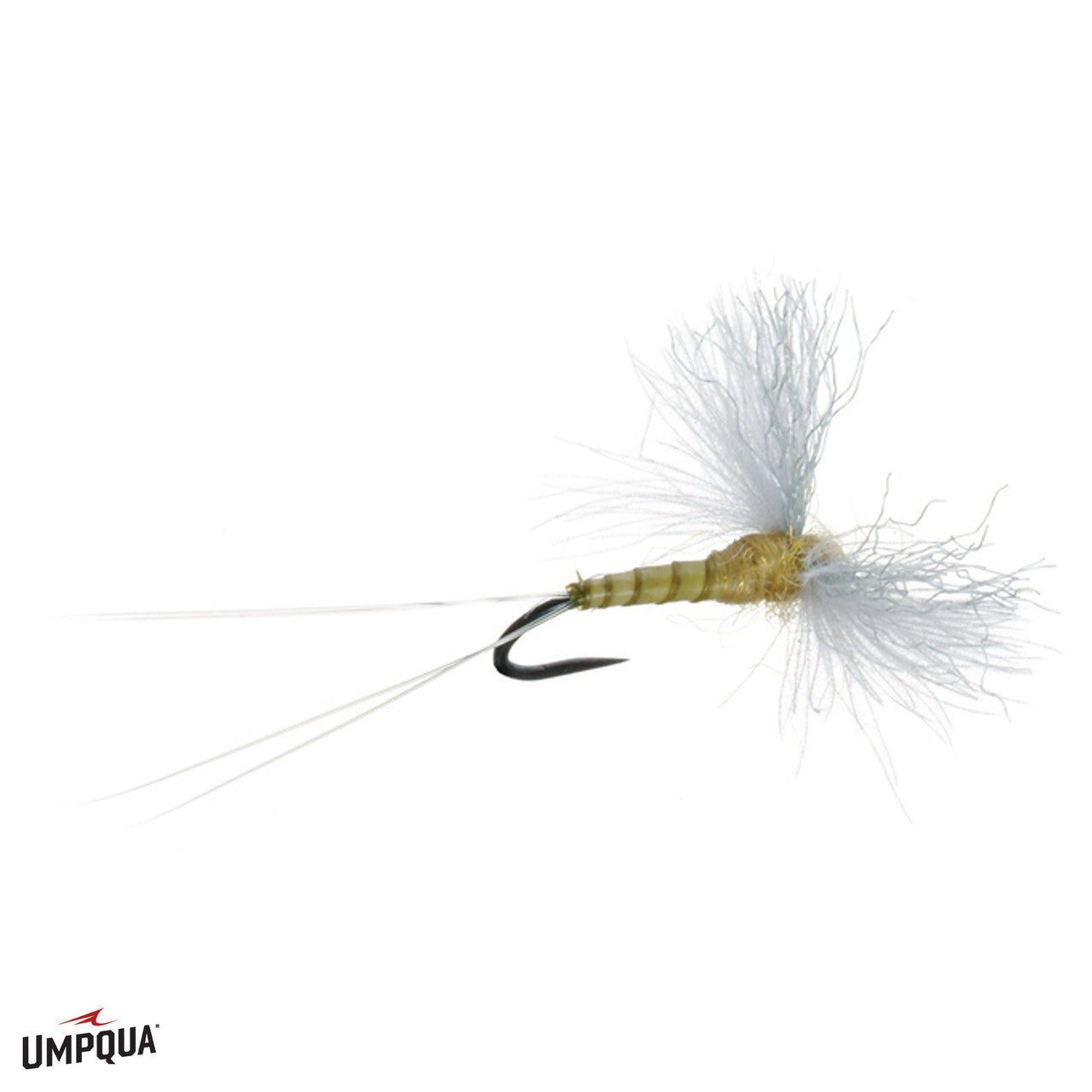 CDC Biot Spinner