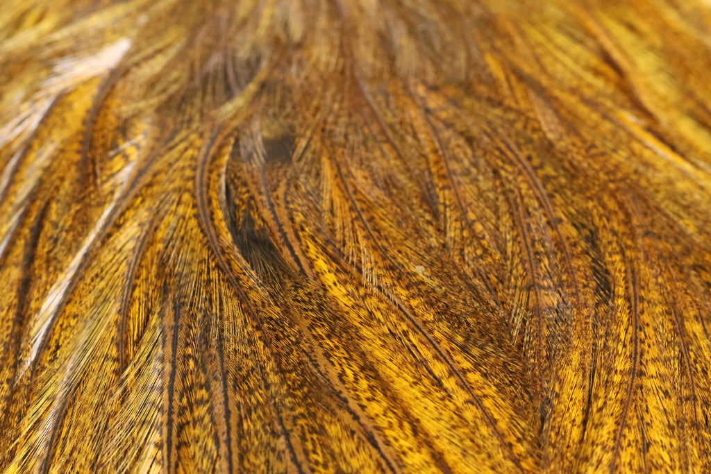 Whiting Farms Coq de Leon Bronze Saddle