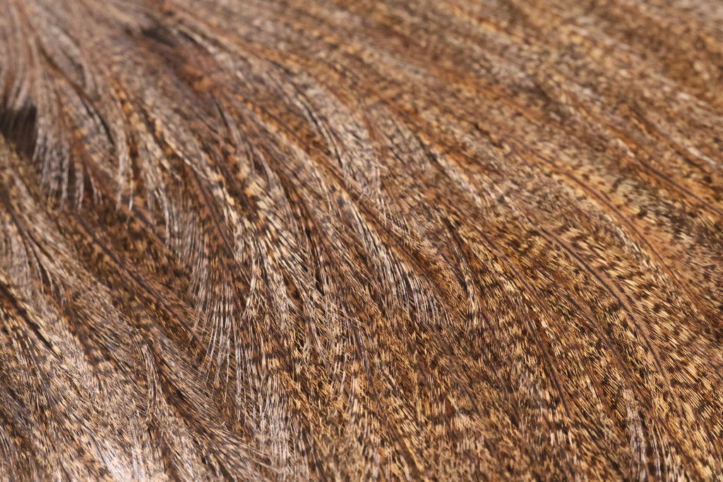 Whiting Farms Coq de Leon Bronze Saddle