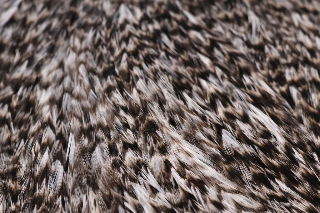 Whiting Farms Coq de Leon Bronze Saddle