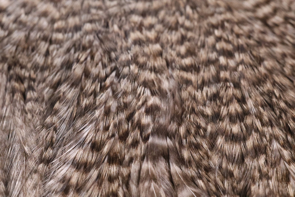 Whiting Farms Coq de Leon Bronze Saddle