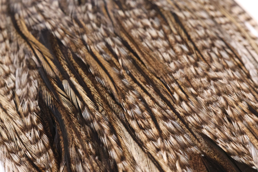 Whiting Farms Coq de Leon Bronze Saddle