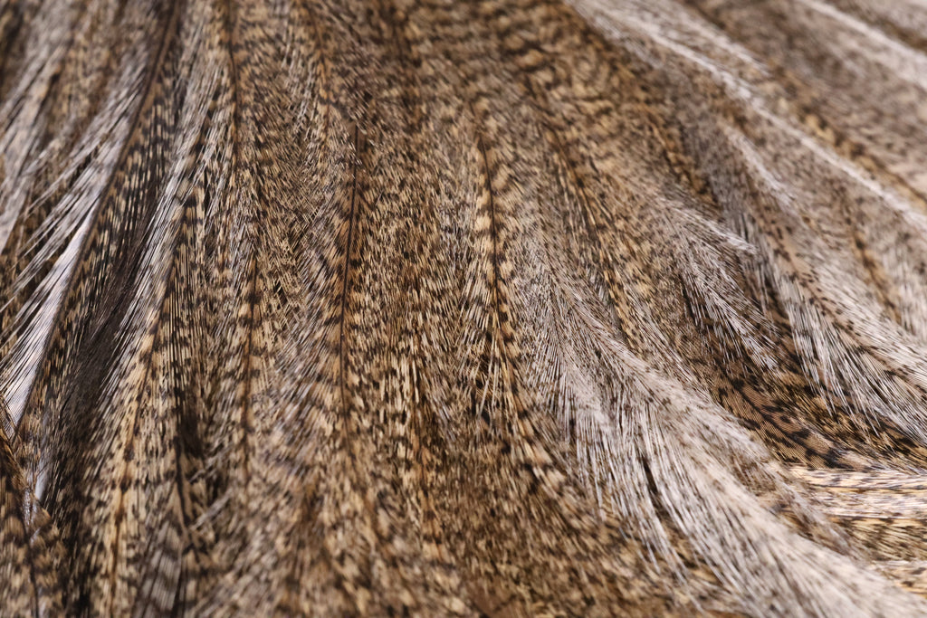 Whiting Farms Coq de Leon Bronze Saddle