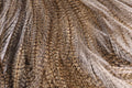 Whiting Farms Coq de Leon Silver Saddle