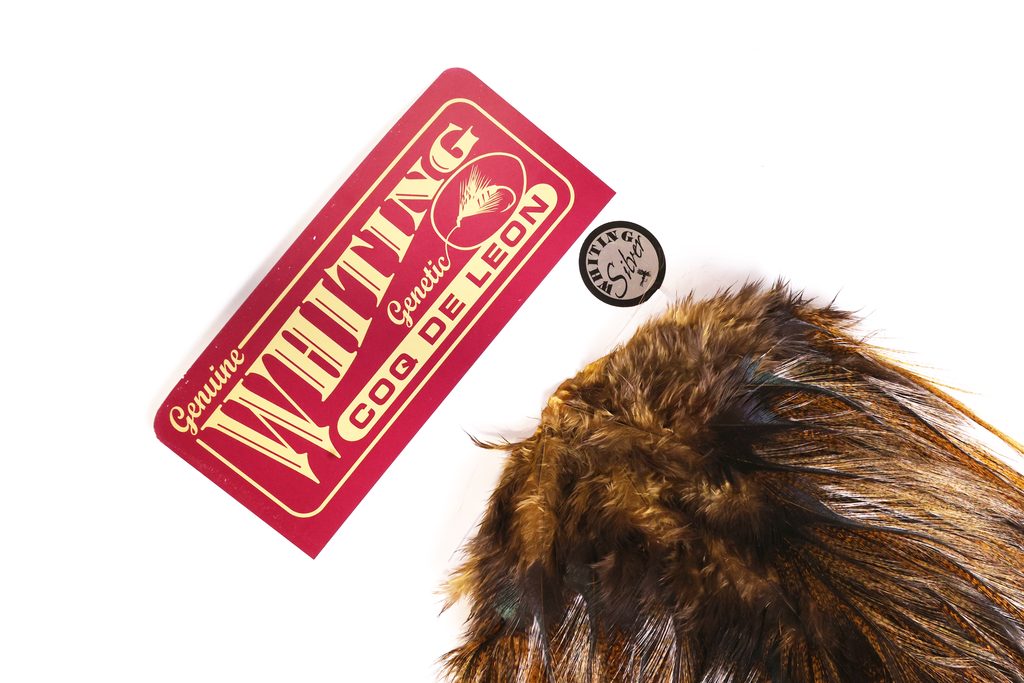 Whiting Farms Coq de Leon Silver Saddle