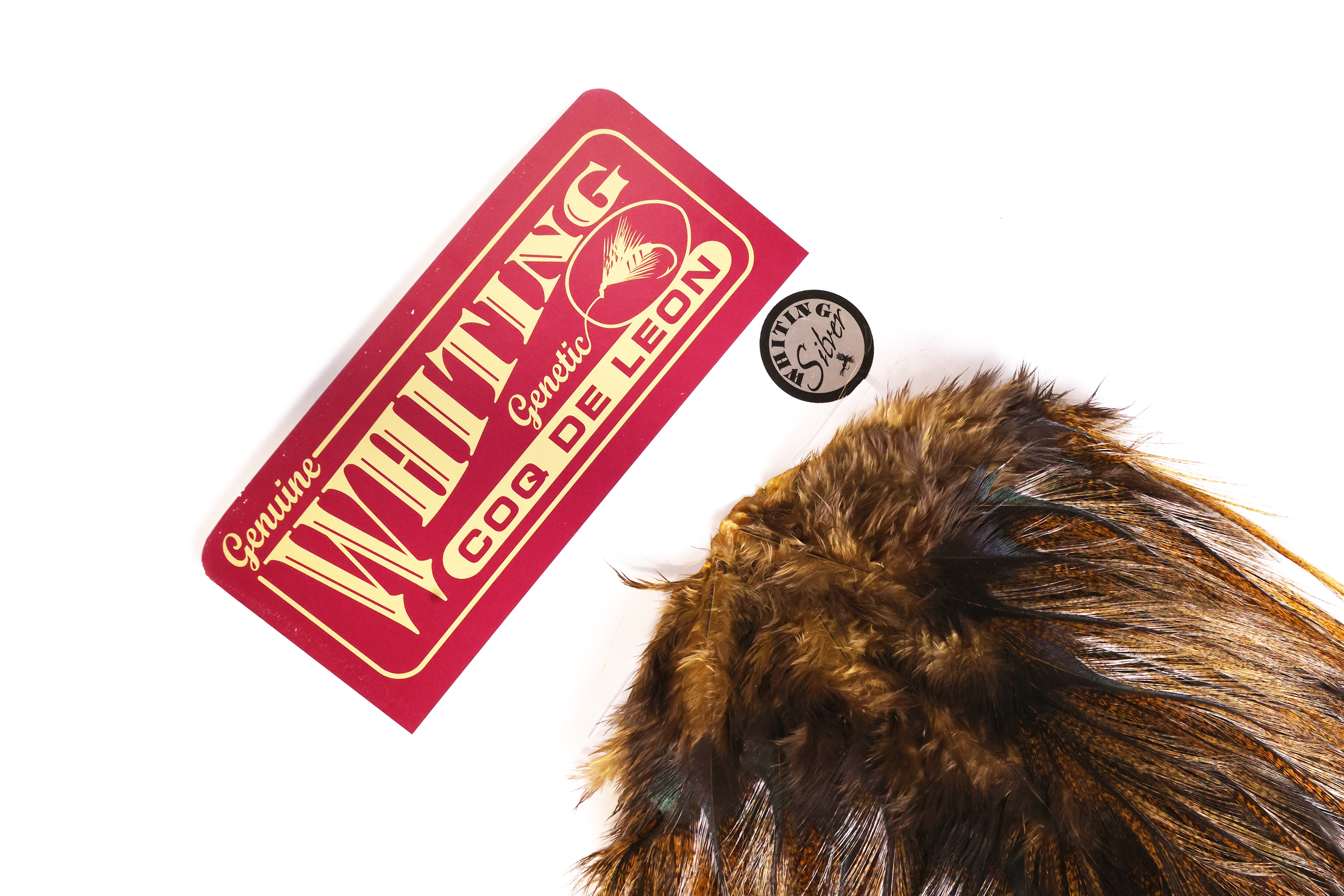 Whiting Farms Coq de Leon Silver Saddle