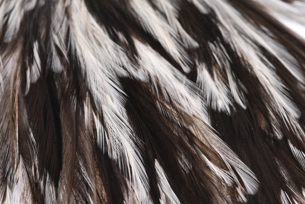 Whiting Farms Coq de Leon Bronze Saddle