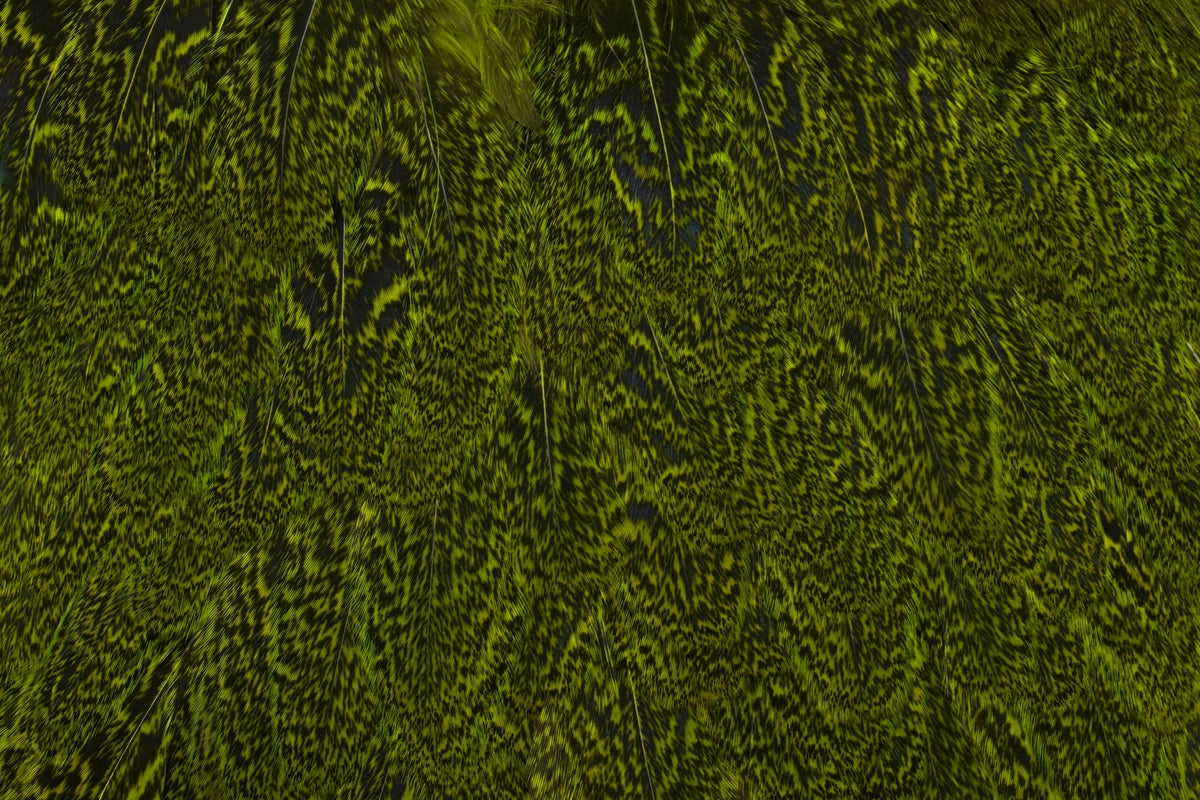 Whiting Farms Coq de Leon Hen Saddle - Speckled Fl. Green Chartreuse