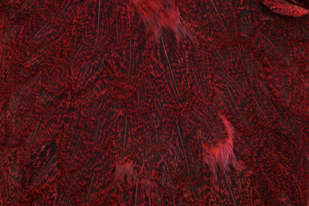 Whiting Farms Coq de Leon Hen Saddle - Speckled Red