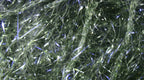 Large UV Polar Chenille