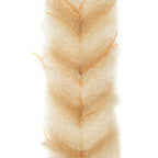 EP Crustaceous Brush