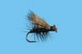 Elk Hair Caddis