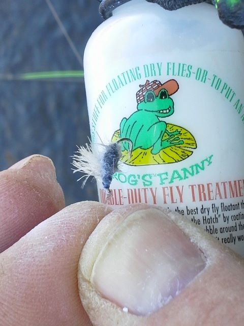 Frog's Fanny Fly Floatant