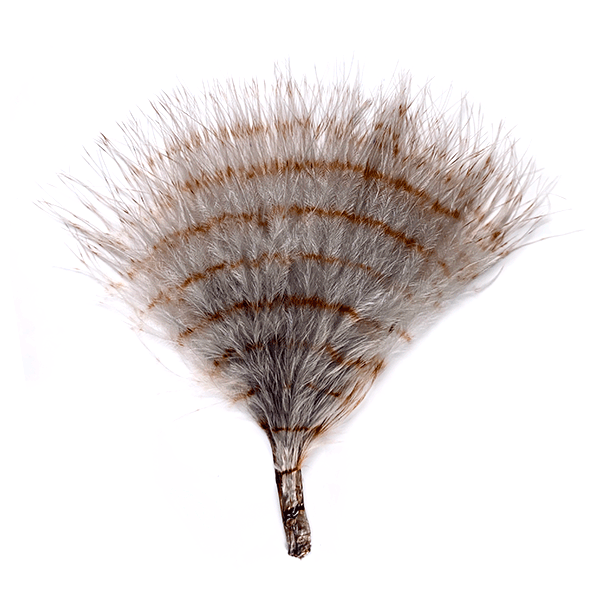 Fine Barred Marabou