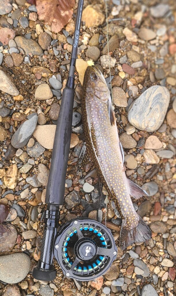 Highland Rod Co. Stealth Fly Rod