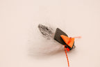 Regal Beagle 17 Year Cicada Fly
