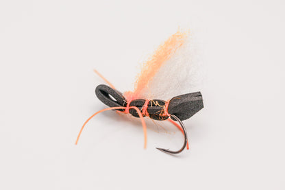 Regal Beagle 17 Year Cicada Fly