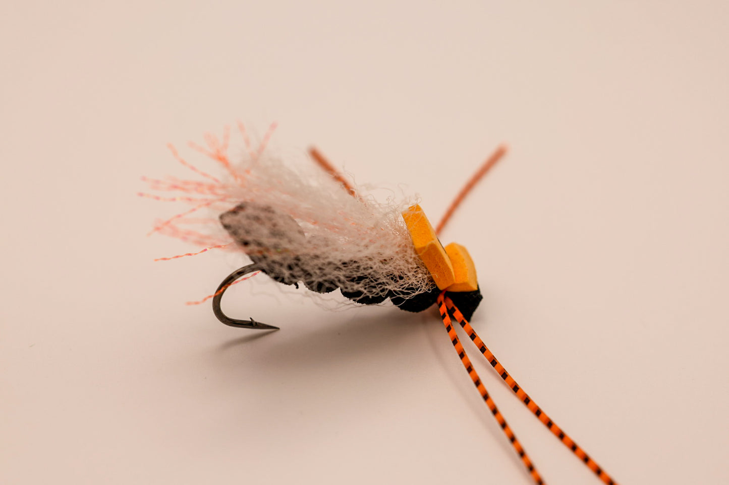 MFC Cook's Periodical Cicada