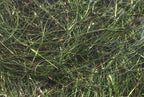 8 inch Ice Wing Fiber