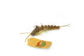 Chocklett's™ Hellgrammite Changer