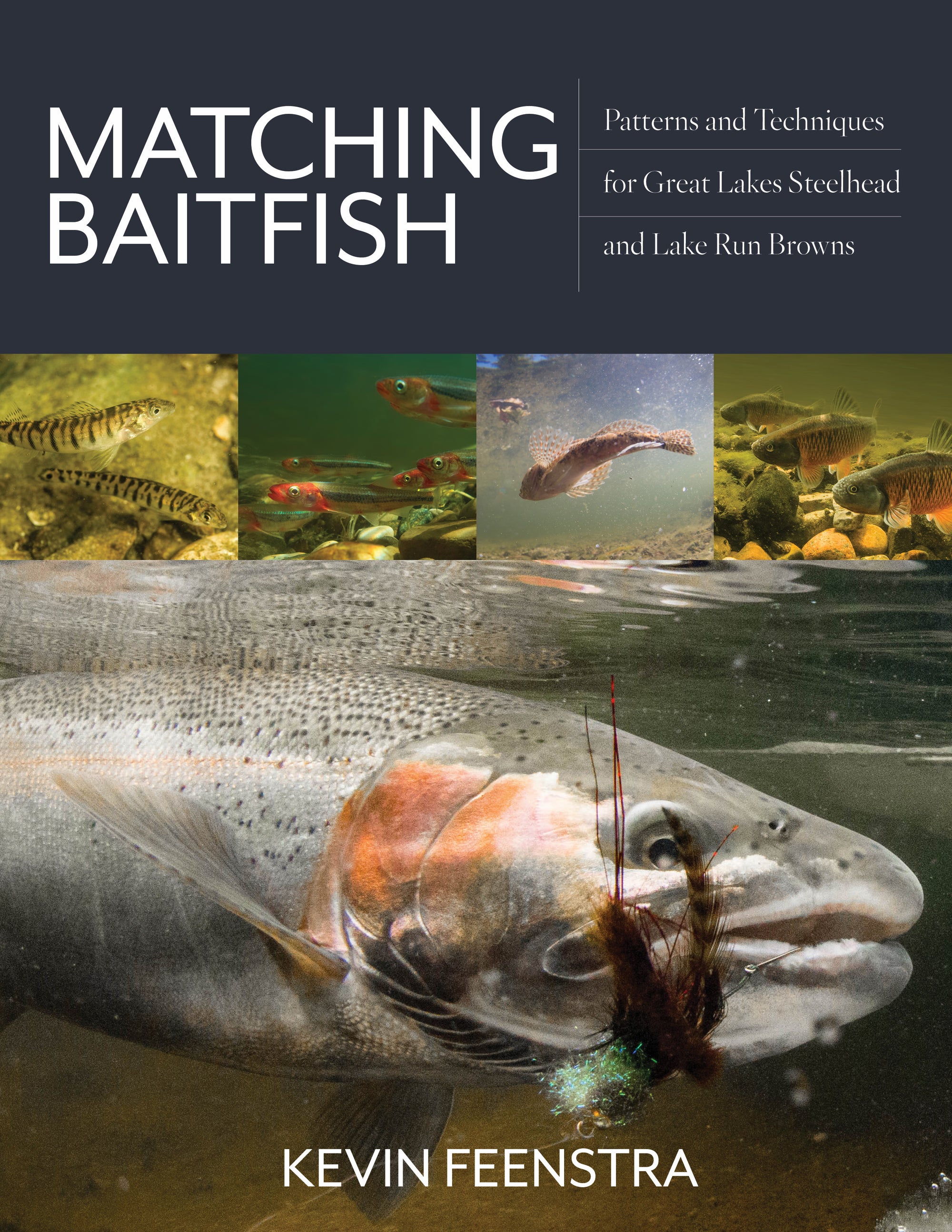 Matching Baitfish: Patterns and Techniques for Great Lakes Steelhead and Lake Run Browns by Kevin Feenstra