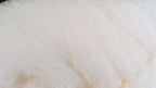 McFlyFoam