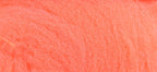 McFlyFoam