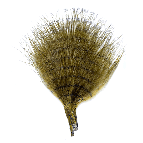 Fine Barred Marabou