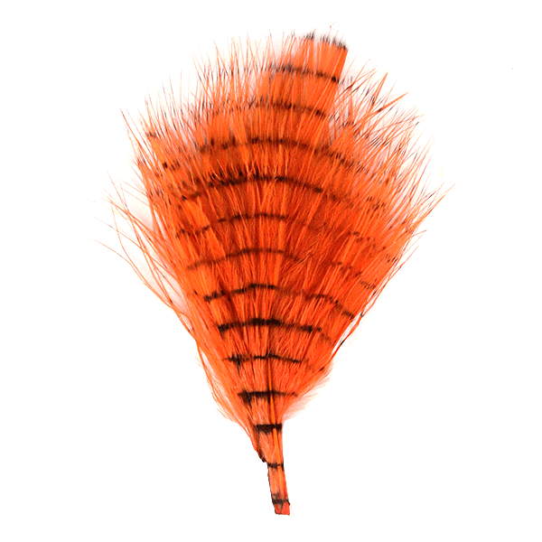 Fine Barred Marabou
