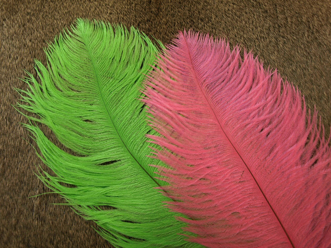 Ostrich Plume 14" to 16"