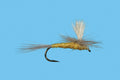 Parachute Sulphur