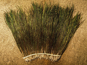 Peacock Strung Herl