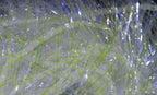 Large UV Polar Chenille